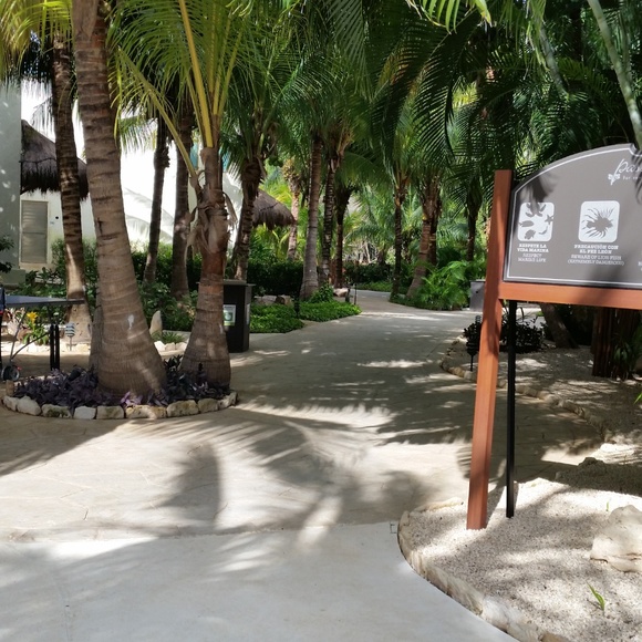 Meet your Posher, Debe - Picture 3 of 8